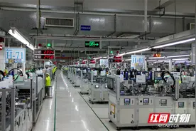 自贸区郴州片区、高新区赋能台达电子：通关提效率 政策释红利图片