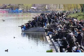 李现“打鸟”为何选择玉渊潭？“打鸟大爷”的镜头里藏着一部生态日记图片