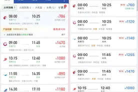 “民航版12306”来了！记者体验：相比第三方平台，票价有贵有便宜图片