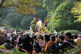 植物园菊展“人多到窒息”？今年很多全新可爱造型被游客点赞图片