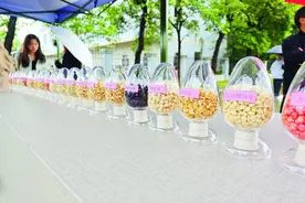 鲜食玉米哪个好？303个新品种惠州“争霸”图片