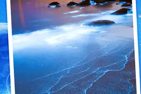 繁星入海！“蓝眼泪”奇观图片