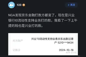 京东金融不存在“拆借解决资金问题”，专家：备注为行业标准流程图片