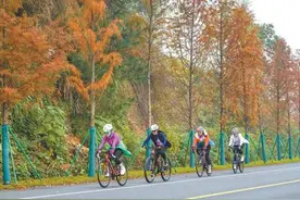 业态向“新”  活力释放（消费视窗·促进服务消费扩容升级）图片