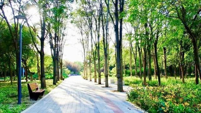 17万平方米绿廊上线！就在——