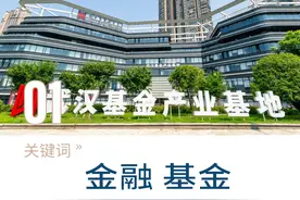 50亿！武汉一区重磅发布图片