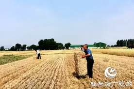 泌阳县象河乡：秸秆巧妙用 打捆解难题图片