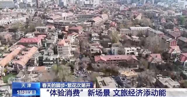 南北春花次第开放 “赏花经济”解锁农文旅融合新业态