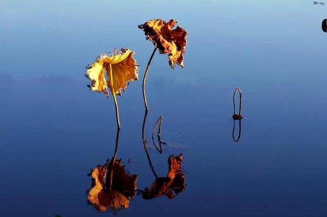 初冬的普者黑，把水墨“划”进现实