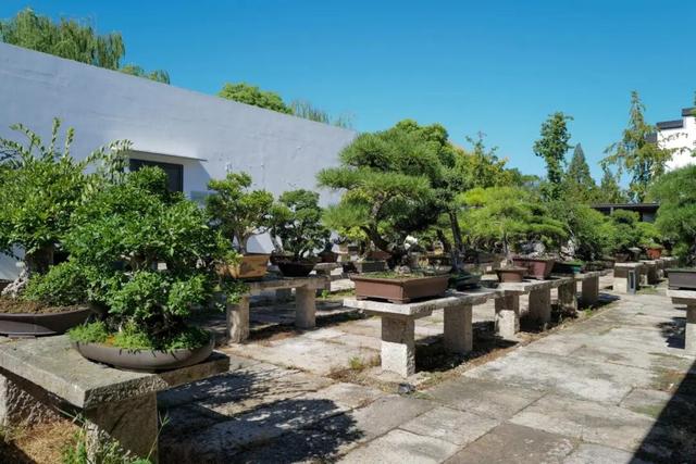 可能是绍兴最好的度假酒店之一