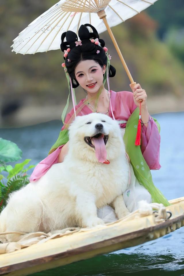 滑板耶耶帅气出街，打卡道家仙山！龙虎山宠物友好景区实锤了，快带上毛孩子来畅玩仙境福地！