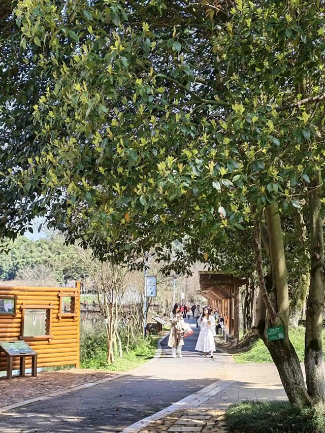 假期第二天，郴州持续火热！