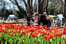 澳大利亚入春即遇热浪图片
