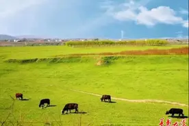 五一不忙 去趟衡阳③｜跟着这几条精品线路，花式游衡阳图片