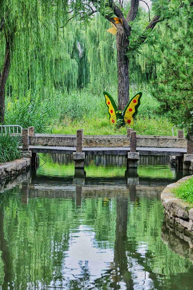 大美东城｜俯仰之间皆胜景 行停之处即桃源