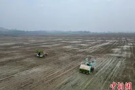 广东部署春耕：守住粮食播种3325万亩底线图片