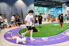 天生好动，奥运“荟”场，嘉亭荟聚焦萌宠别样解锁上海之夏图片