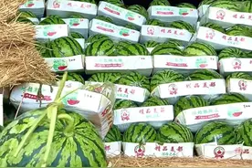 冲上热搜！迎来大降价！图片