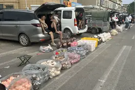 衡水惊现“LABUBU盗版大集”，称是“纯手工制作”就能免责吗？图片