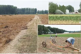 干旱后一场大雨，农户依旧忐忑图片