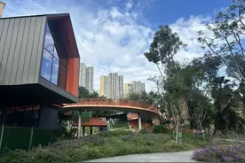 历时4年 成都高新区8.6公里的“空中绿道”到底何时建成投用？｜追踪到底图片