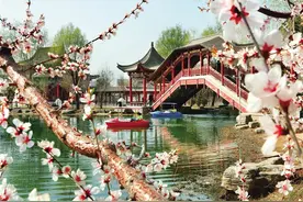 这个周末 去安宁看桃花 兰州市第四十二届桃花会周六开幕图片