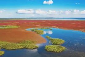 蓝绿交织，绘就人海和谐新画卷 | “两山”理念20年⑦图片