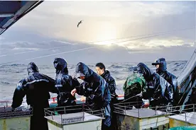 向广袤大洋要食物 浙江远洋渔业经济总产值连续5年全国第一图片