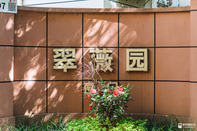 一条荔园路，多少蛇口人的前半生