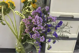 高考落幕，杭州陪读妈妈的“最后一战”图片