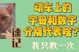 动车上的字母和数字分别代表啥？我只教一次图片