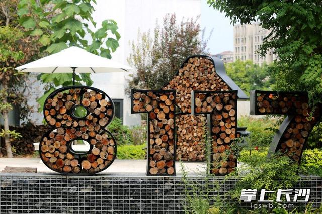 组图｜艺术后湖好打卡