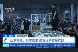 立秋后的“第一口鲜”！南方梭子蟹进青岛，凌晨上演“抢蟹战”图片