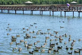 半月谈丨半年冰天雪地，半年绿水青山：冰雪高地打破“季节限定”图片