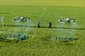 低空经济应用场景进一步拓展：农业无人机有望大面积落地图片