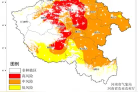 河南高温天气即将到达！局部将超40度！图片