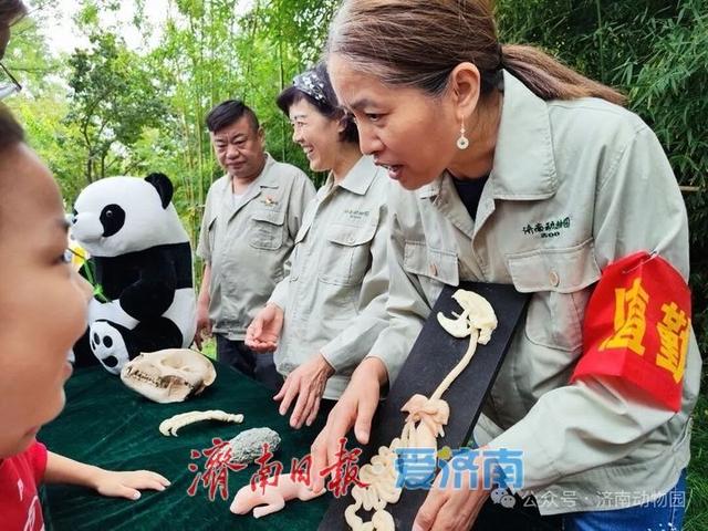 一年四季 泉在济南 | 来济南动物园，零距离“邂逅”大熊猫