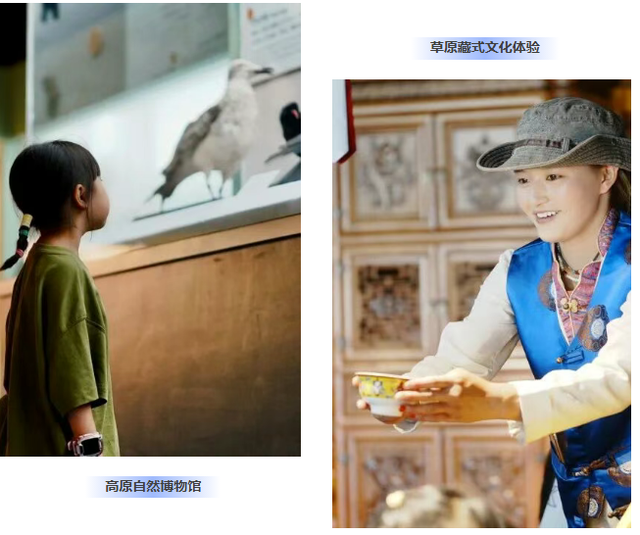 2026大皖研学夏令营·青海篇｜移动城堡房车6日营