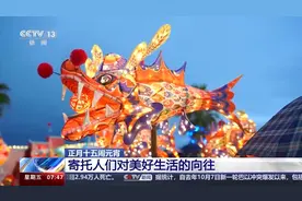 正月十五闹元宵 各地这些特色花灯别错过→图片