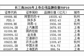 解读长三角城市群上市公司品牌价值：阿里、拼多多领衔，沪杭“双核”格局稳固图片