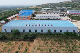 高质量发展调研行 | 绿了坡地 红了柿园——陕西富平治理水土流失见闻图片