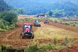 北斗导航、无人机播撒……射洪小春播种科技感爆棚图片