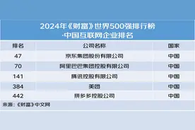 世界500强里的未来商业：拼多多首登榜、美团跃升83名、京东晋级中国最大民营公司图片