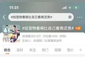 动辄几千上万元 宠物看病为何比人贵？图片