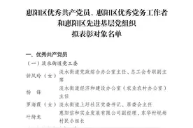 名单来了！惠阳区公示一批“两优一先”拟表彰对象图片