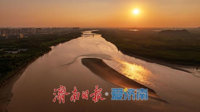 济南百里黄河风景区，夏日金辉演绎黄河生态美景 | 一年四季 泉在济南