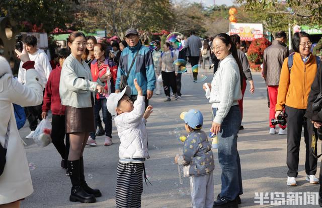 秋日赏菊正当时，老年游客成主力