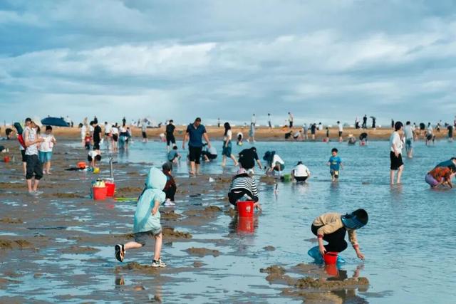 这个五一，去刘家湾赶一场“潮”——万亩滩涂已备好，只差一个挽起裤脚的你