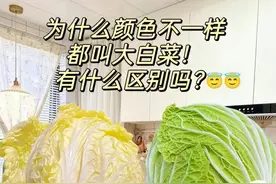 为何颜色不一样都叫大白菜？网民吵翻，专家答疑图片