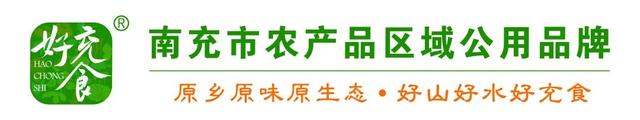 阆中：蜀道上的水陆咽喉，城市遗存的活化石